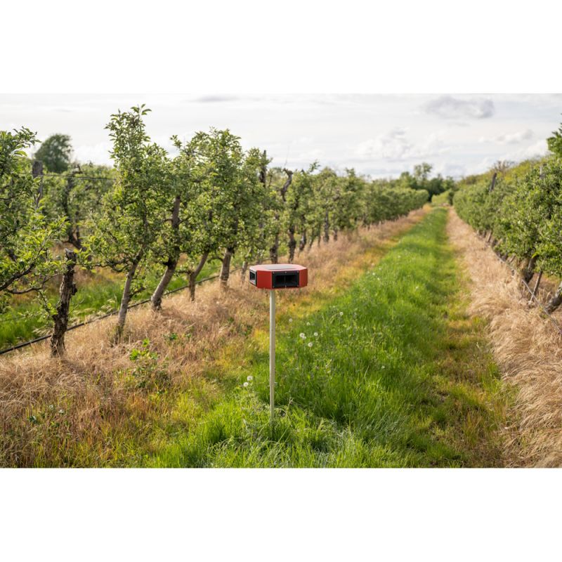 Répulsif Réfléchissant Pour Oiseaux Avec Effarouchement Vocal Solaire