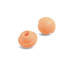 Bouchons d'oreille de rechange pour arceau PERCAP® Honeywell